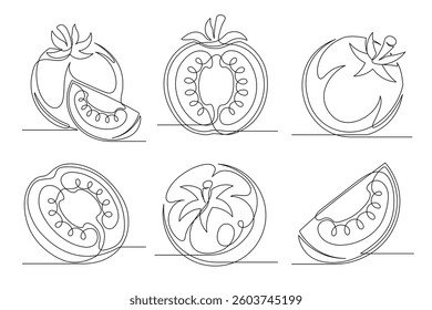 Tomato continuous one line drawing set. Outline tomato vegetable icon collections isolated on a white background. Editable stroke. Vector illustration