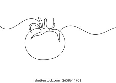 Tomate continuo de una línea de dibujo de estilo minimalista aislado contorno de Ilustración vectorial