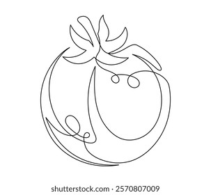 Tomato contour line isolated on white background. Simple vegetable silhouette. Hand drawn tomato outline. Vector illustration