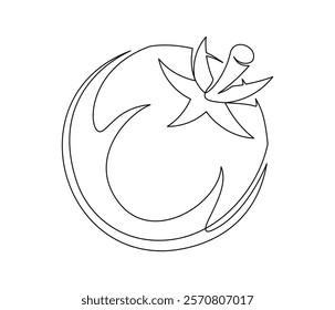 Tomato contour line isolated on white background. Simple vegetable silhouette. Hand drawn tomato outline. Vector illustration