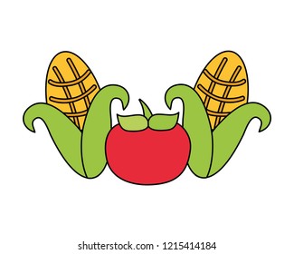 tomato and corn vegetables fresh on white background