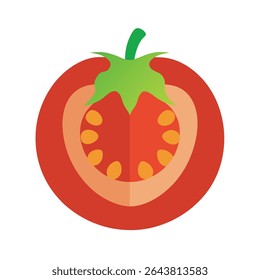 Ilustração de vetor aquarela de seção transversal de tomate
