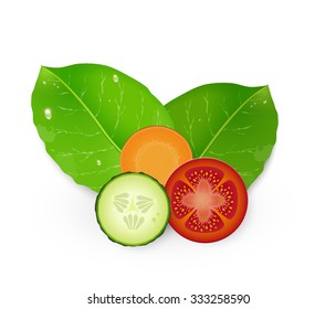 tomato, cucumber and carrot slices with green leaves on white background,  vector