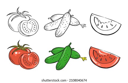 Tomaten- und Gurkensatz. Gesunde pflanzliche Lebensmittel. Weißer Hintergrund. Vektor-einzelne Illustration handgezeichnet