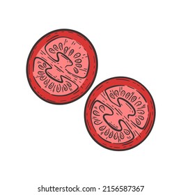 Tomate geschnitten in halbefarbener Skizze. Tomatenhandgravur, einzelne Vektorgrafik. Vintage-Zeichnung von gesunden Bio-Lebensmitteln