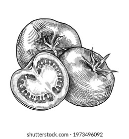Tomato and tomato cut in half. Hand drawn vector illustration isolated on white background. 
