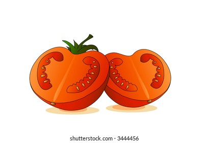 Tomato cut i half isolated on white, vector