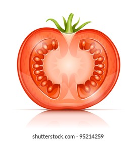 tomato cut half-in-half vector illustration isolated on white background  used EPS10. Transparent objects used for shadows and lights drawing