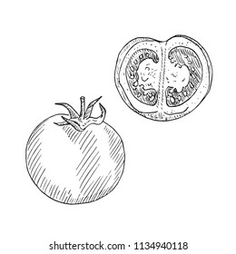 Tomato and cut slice, hand drawn doodle, drawing, sketch, black and white vector outline illustration