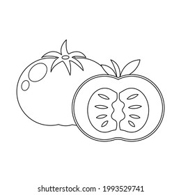 Tomato and cutted tomato vector illustration cartoon isolated on white background. Cute tomato vector cartoon coloring page.