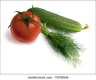 tomato dill and cucumber on a white background