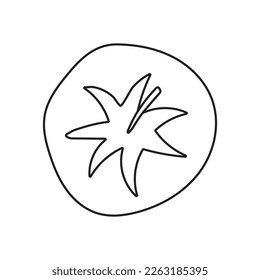 tomato doodle flat illustration isolated on white background. Vector graphics design