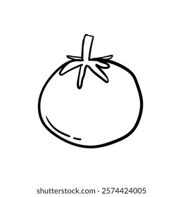 Tomato doodle. Great for food, cooking, gardening, healthy eating, and designs.