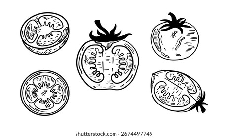 Juego de dibujo a mano de tomate doodle. colecciones de tomate doodle. Juego de tomate vintage de doodle.