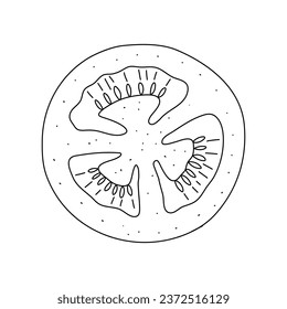 Doodle de tomate. Iconos dibujados a mano de boceto de verduras. Ilustración vectorial aislada en estilo de línea de doodle.