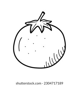 Icono de garabato de tomate, vegetal unitaria vectorial sobre fondo blanco.