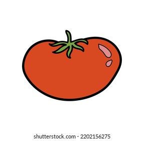 Tomato doodle vector illustration decor element isolated on white background. Cute cartoon style outline red tomato. Organic vegetable6 healthy bio food, vegetarian friendly sweet veggie icon.