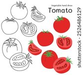 Tomato doodle vegetable hand drawn outline and colors for kid, Package, labels Design element. Vector illustration