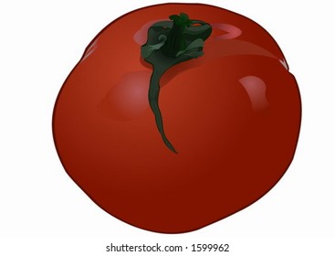 Tomato, drawing.