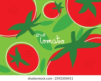 Tomato drawing, Fruit hand drawn, vector illustration.