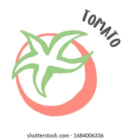 Tomato drawing hand painted with ink brush isolated on white background. Vector illustration