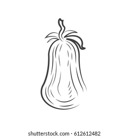 Tomato drawing icon design
