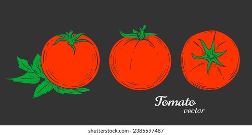 Tomato drawing .Vegetable .Organic Food, sauce, dishes component. Vector illustration.