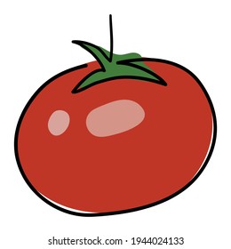 The tomato is drawn with a single black line. Doodle style. Under the main line is a red spot with a glare. Linear style. Stock vector illustration. Isolated objects. Simple vector illustration