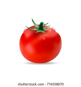 Tomato with drops of dew isolated on white background. vector realistic illustration