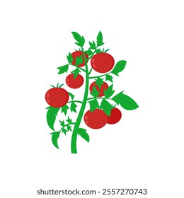 Tomato, Farming Flat Vector Illustration
