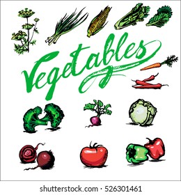 tomato, fennel, corn, cabbage, lettuce, beet, pepper vegetables, icon, set, vector isolated