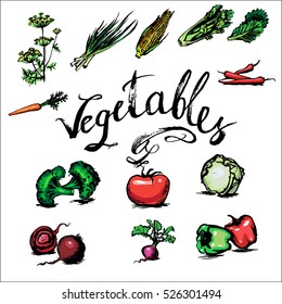tomato, fennel, corn, cabbage, lettuce, beet, pepper vegetables, icon, set, vector isolated