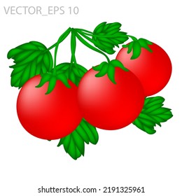 tomate con unas pocas hojas, vector 3d aislado en fondo blanco adecuado para animación y diseño de ilustración