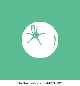Tomato Flat Icon On Green Background