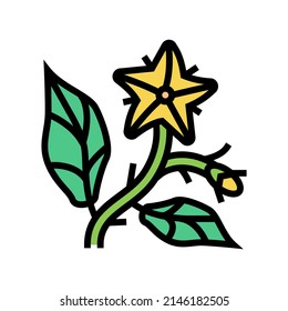 tomato flower color icon vector. tomato flower sign. isolated symbol illustration