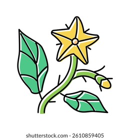 tomato flower color icon vector. tomato flower sign. isolated symbol illustration