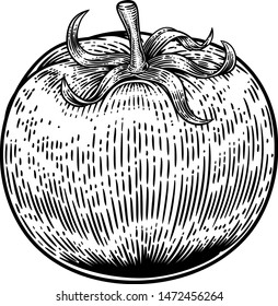 A tomato food graphic. Original illustration in a vintage engraving woodcut etching style.
