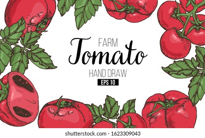 Tomato frame on an isolated background. Tomato, leaf, cherry branch. Concept: banner for the site of a breeding company, label for tomato sauce, tomato soup in the menu. White background.