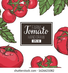 Tomato frame on an isolated background. Tomato, leaf, cherry branch. Concept: banner for the site of a breeding company, label for tomato sauce, tomato soup in the menu. White background.
