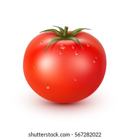 Tomato fresh big red ripe with water drops realistic vector illustration isolated on white background