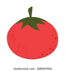 tomato fresh icon flat vector