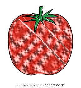 tomato fresh isolated icon
