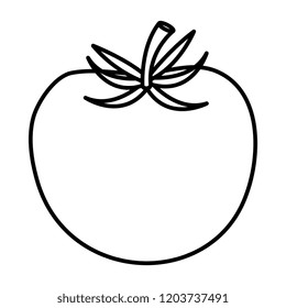 tomato fresh isolated icon