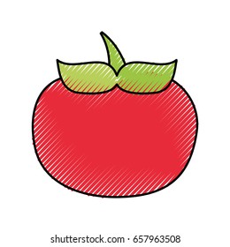 tomato fresh isolated icon