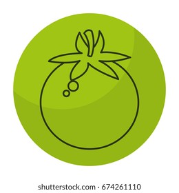 tomato fresh isolated icon