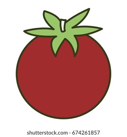 tomato fresh isolated icon