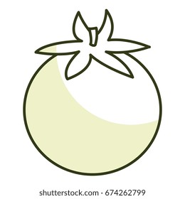 tomato fresh isolated icon