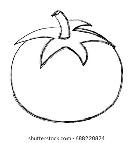 tomato fresh isolated icon