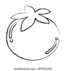 tomato fresh isolated icon