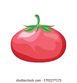 tomato fresh on white background vector illustration design